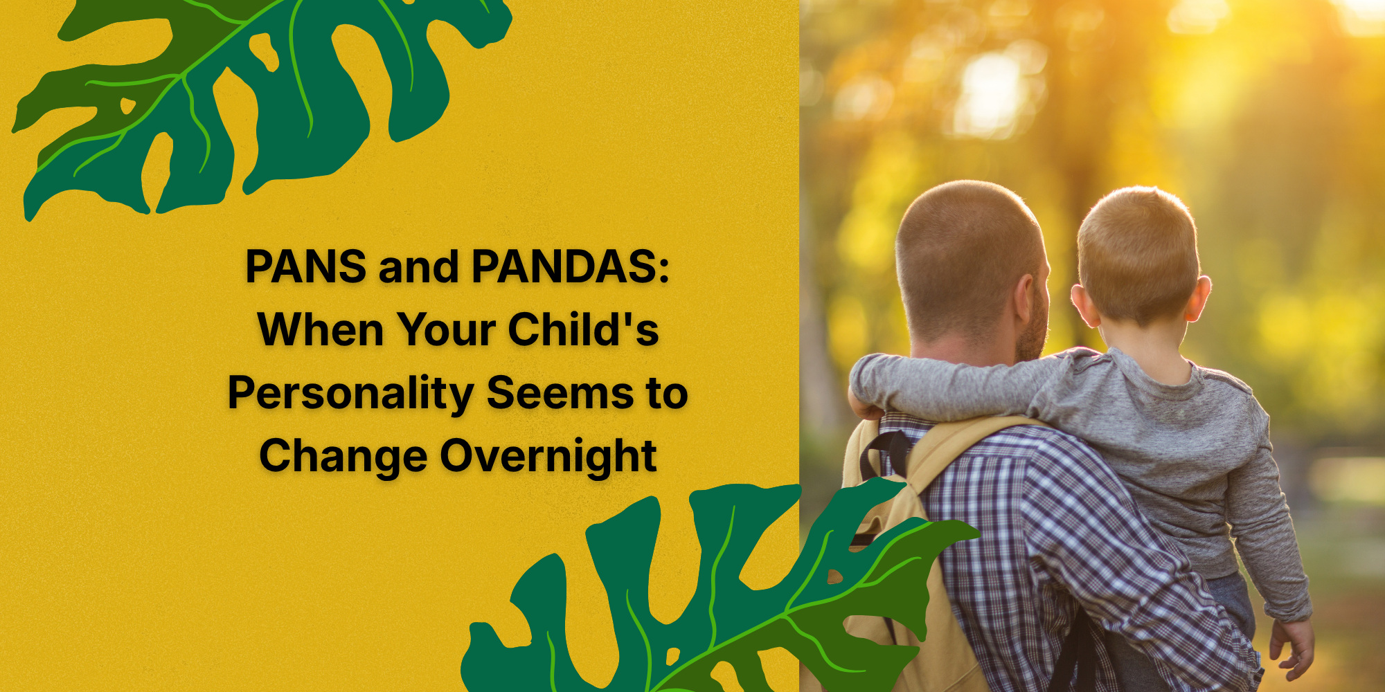 PANS and PANDAS: When Your Child's Personality Seems to Change Overnight